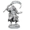 Neca Pathfinder Deep Cuts Unpainted Miniatures | Serpentfolk